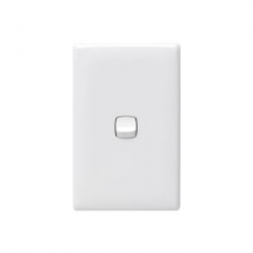 1 GANG SWITCH (STANDARD/SMALL)          